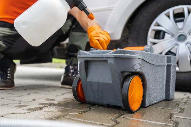 Best Lawn Pest Prevention  in Carthage, TN